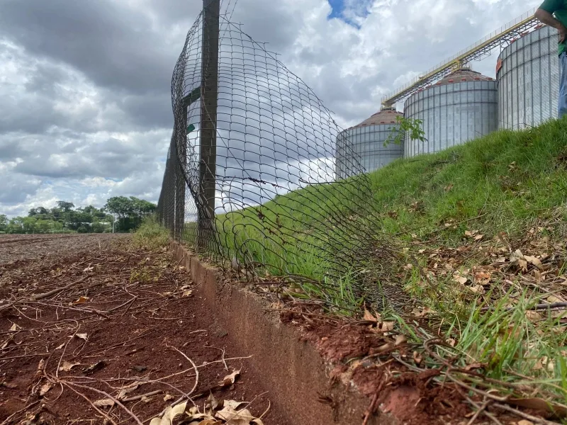 Seis ladrões invadem empresa agrícola e praticam furto em Mercedes