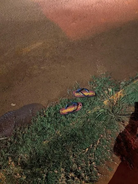 Homem é encontrado morto a pedradas em mata de Toledo