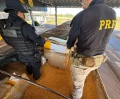 Receita e PRF apreendem 5 mil cigarros eletrônicos escondidos em carga de grãos, em Guaíra