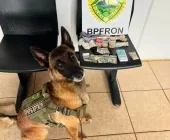 BPFRON prende homem por tráfico de drogas em Marechal Cândido Rondon