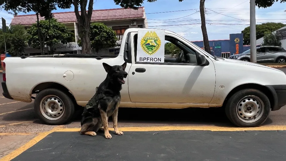 BPFRON prende homens por embriaguez ao volante e roubo em Marechal Rondon