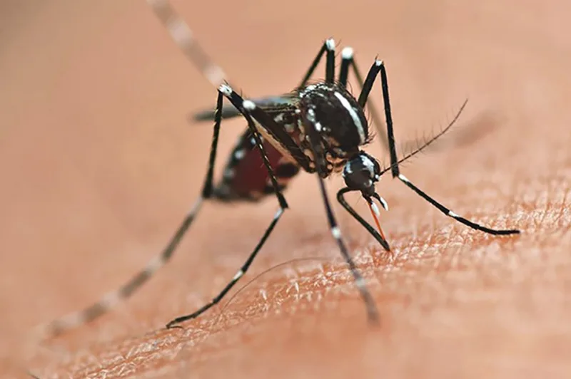 Mercedes registra novo aumento de casos de Chikungunya