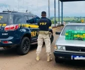 PRF apreende motorista com maconha e arma de fogo na BR-163 em Mundo Novo