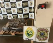 PF e BPFron apreendem maconha em meio a milharal em Guaíra