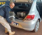 PRF apreende quase 200k de maconha na BR-272 em Francisco Alves