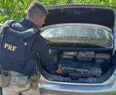 PRF apreende mais de meia tonelada de maconha após fuga entre Nova Santa Rosa e Maripá