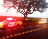 Motorista morre após carro entrar em plantação, capotar e bater em árvore na PR-323