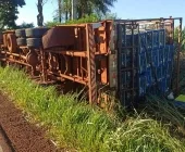 Caminhão carregado com frangos tomba na PR-239 entre Toledo e Vila Nova