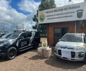Jovem de tornozeleira é preso em Marechal Rondon com 54 kg de cocaína