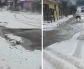 Granizo forma camada de gelo impressionante na Serra Catarinense e causa destruição
