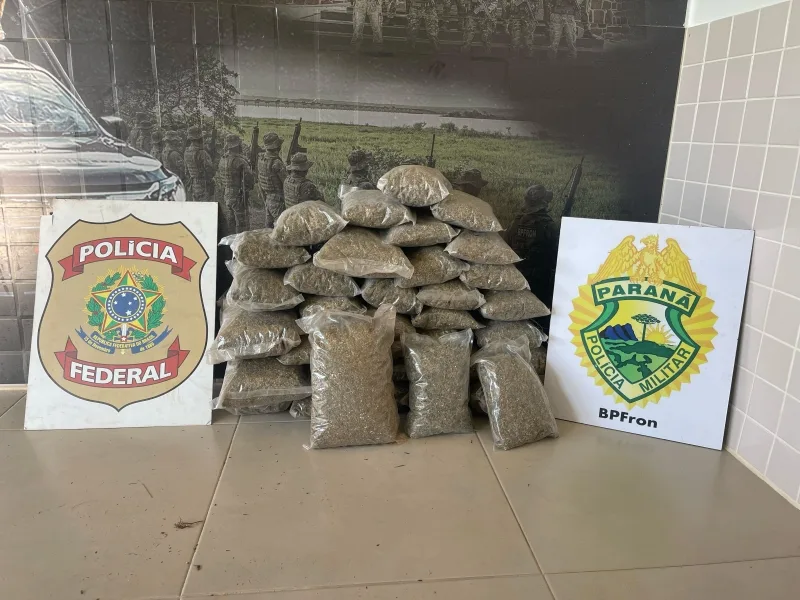 PF e BPFRON localizam skunk próximo à córrego, em Guaíra