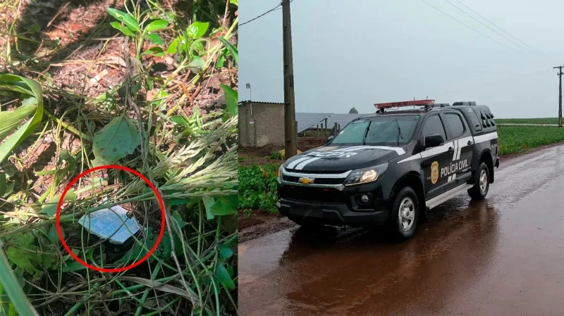Polícia de Toledo prende cinco por furtos em usinas solares após encontrar comprovante de aposta perdido