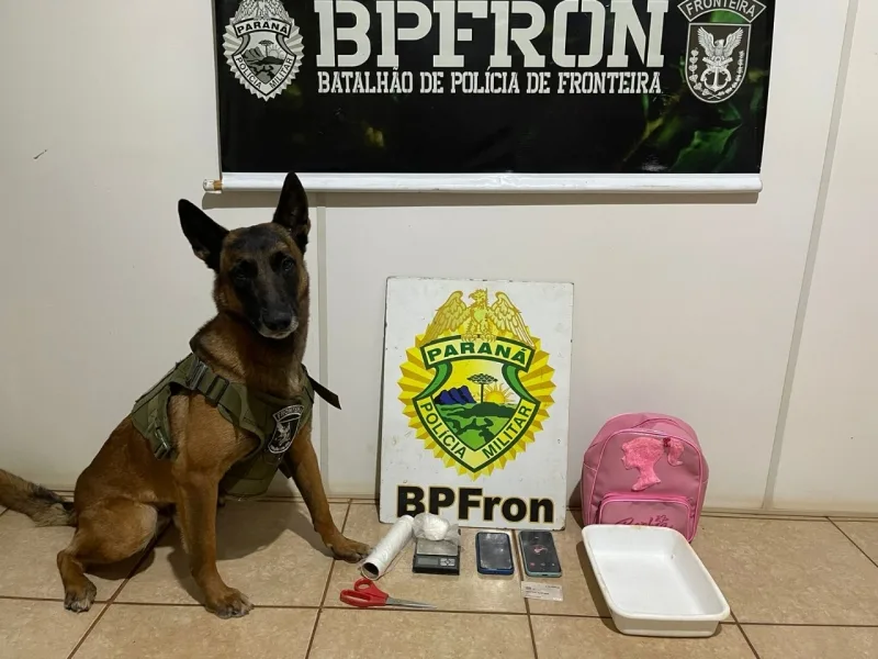 Homem é preso por tráfico de drogas em Nova Santa Rosa