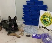 Mais de 40kg de drogas são localizados em residência de Terra Roxa