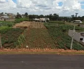 Terreno a venda em Mercedes com ótimo desconto à vista!