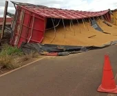 Carreta com ferelo de milho tomba na BR-163 entre Marechal Rondon e Toledo