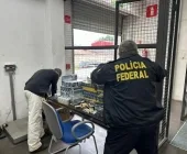 Operação da PF em Guaíra e outras cidades deteve sete pessoas e apreendeu até helicóptero