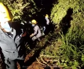 Brasileira desaparecida é encontrada morta em área de mata no Paraguai