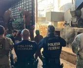 Polícia Federal destrói 9,5 toneladas de drogas em Guaíra