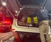 PRF apreende Hilux roubada com 640 kg de drogas em Terra Roxa