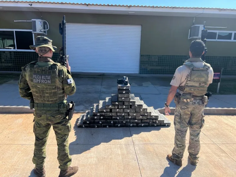 Polícia localiza quase meia tonelada de maconha em área de mata em Guaíra