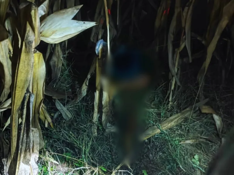 Homem é morto e decapitado no interior de Guaíra