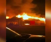 Tragédia no campo: fogo destrói aviário e mata 21 mil pintainhos em Cascavel