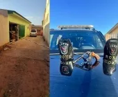 Homem morre em confronto com a RONE em Alto Paraíso
