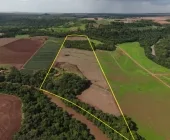 Oportunidade! Sítio à venda em Planalto do Oeste