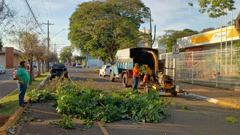 Prefeitura de Guaíra intensifica serviços de poda de árvores na cidade