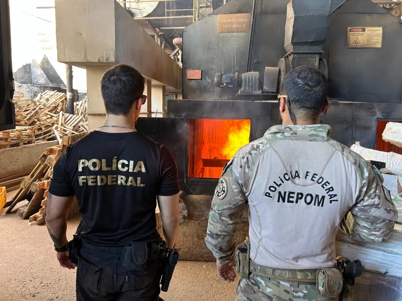 PF de Guaíra destrói 10 toneladas de drogas na 12ª ação de incineração do ano