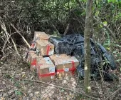 Policiais apreendem R$ 400 mil em cigarros eletrônicos escondidos em área de mata na Ilha Grande