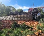 Caminhão de Mercedes tomba ao ficar sem freio em Marechal Rondon; Ocupantes saltam para evitar tragédia