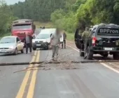 Com galhos e árvore, homem bloqueia BR-163 entre Guaíra e Mercedes