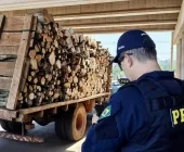 Motorista é flagrado na BR 163 em Toledo usando corda como cinto e caminhão com série de irregularidades
