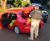 Com carro carregado de drogas, homem é preso em Guaíra após tentar se esconder em residência