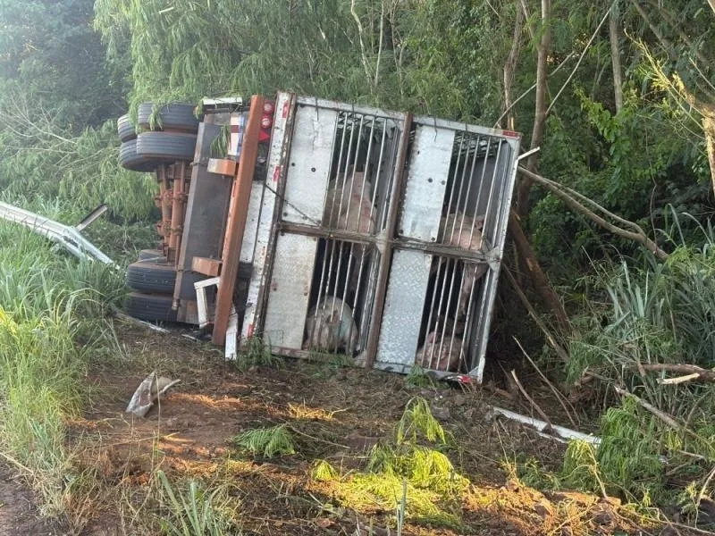 BR-163 tem trânsito pare e siga para remoção de carreta acidentada entre Mercedes e Guaíra