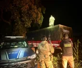 Em fuga da polícia, caminhão com cigarros colide contra poste e árvore em Toledo