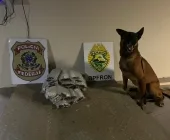 Polícia Federal e BPFRON localizam droga escondida em painel de carro em Guaíra