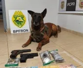 BPFRON apreende drogas, arma e munições durante abordagem em Marechal Rondon