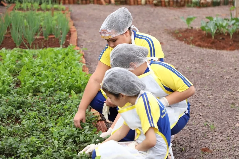 Projeto MasterChef na Escola leva experiências práticas duas escolas em Guaíra
