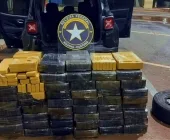 Receita Federal apreende 550 quilos de maconha após perseguição em Mundo Novo
