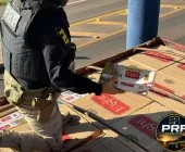 PRF apreende carreta com cerca de 1.200 caixas de cigarros contrabandeados na BR-487