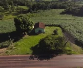 Oportunidade! Terreno à venda às margens da estrada para Arroio Guaçu