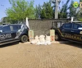 Agrotóxicos e cigarros estrangeiros são encontrados em trilhas na área rural de Guaíra