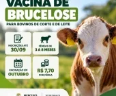 Mercedes abre inscrições para vacinação contra brucelose e pecuaristas contam com incentivo financeiro