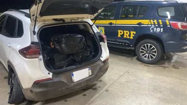 Motorista tenta atropelar policial e acaba preso com drogas na BR-487, em Alto Paraíso