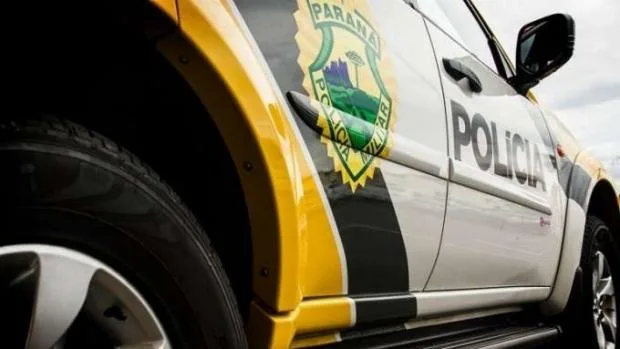 Três suínos são abatidos e furtados de propriedade rural em Guaíra