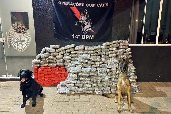 Apreensões de maconha crescem 228% em dez anos na região de fronteira do Paraná