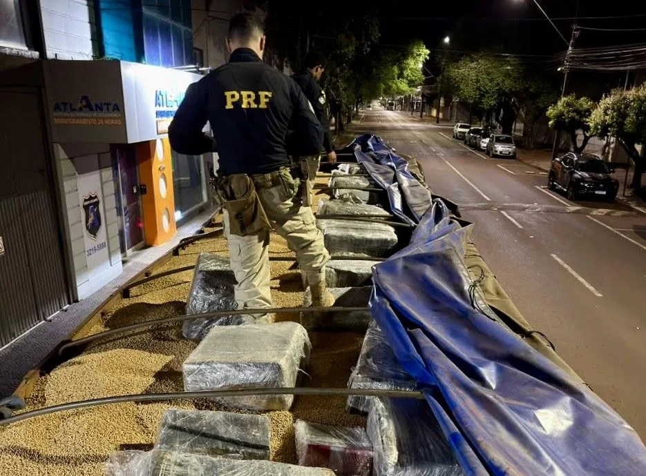 Caminhão carregado com soja escondia mais de 1,7 tonelada de maconha na BR-277 em Cascavel
